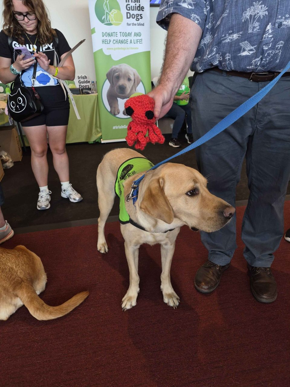 Nando from Irish Guide Dogs with Octo